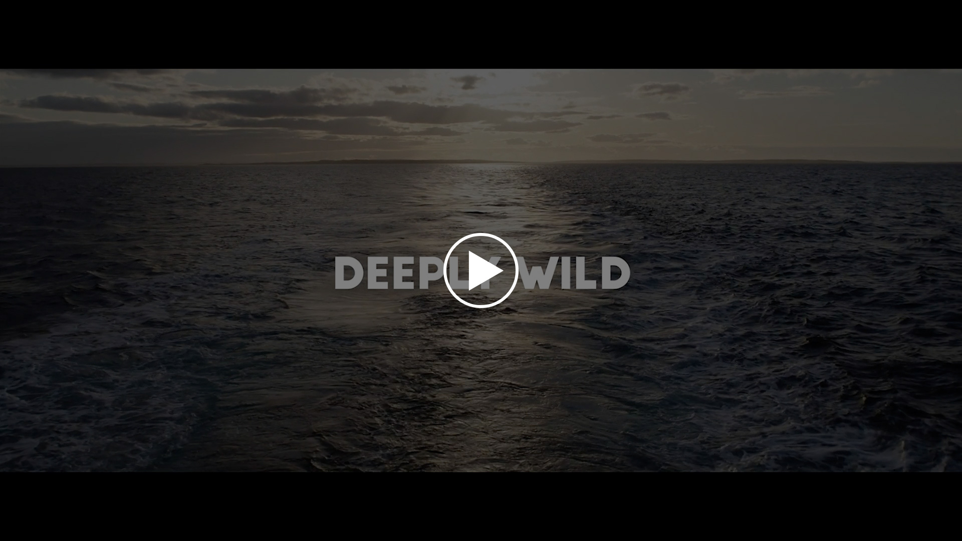 Canadian Redfish movie link